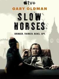 流人 第五季 2025 全6集 4K 1080p多版本 附前五季全集 共296.8G！-泡泡资源