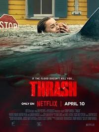 奈飞最新灾难惊悚片 狂鲨风暴 2026 1080P 中字 [3.6G]-泡泡资源