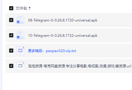 纸飞机Telegram 最新中文版电报，各种国外资源都能搜索找到77！-泡泡资源