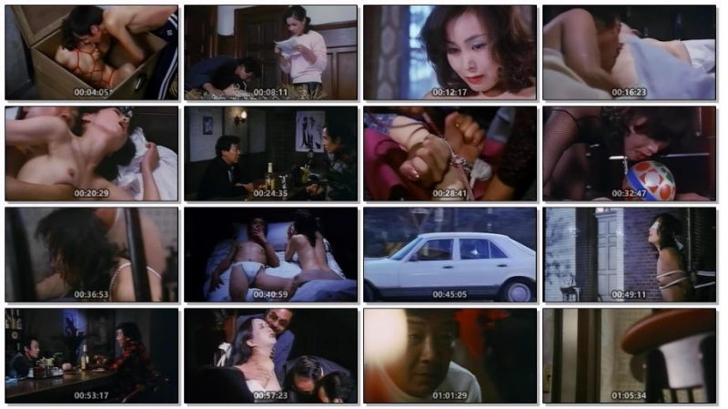 奴隶契约书[1982/日本/情色][1.65G/MKV/中字]-泡泡资源